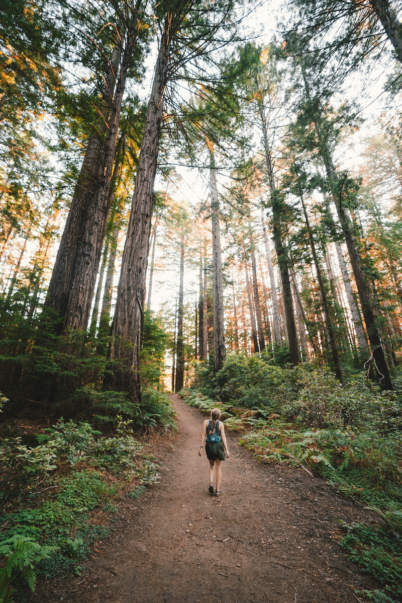 healthy Lifestyle, hike, outdoor, near, hiking, travel, girl, track, day, leaf, adventure, one Person, person, recreational Pursuit, park - Man Made Space