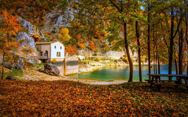 leaves, field, tranquility, gold Colored, park - Man Made Space, water, mountain, change, tranquil Scene, landscape, hills, plant, autumn, woodland, yellow