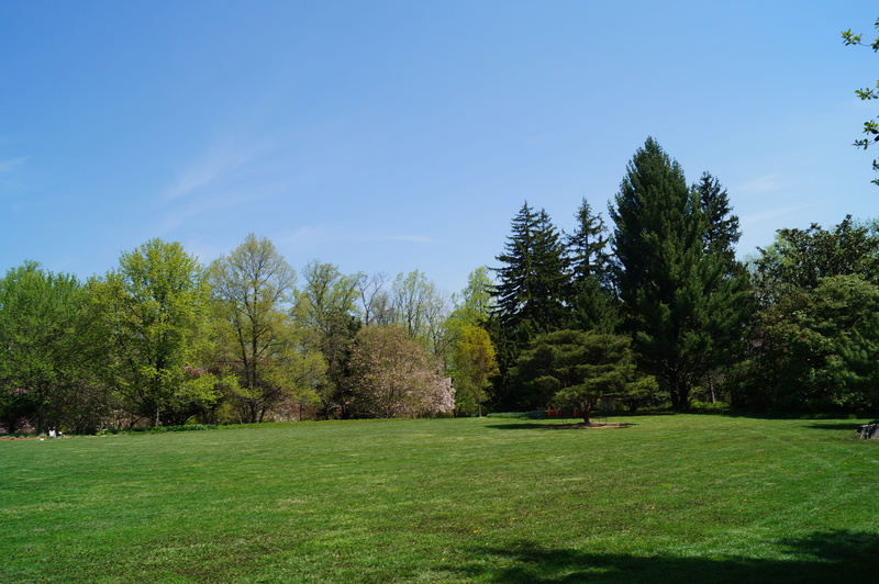 tranquility, tree, outside, garden, growth, no people, land, green - golf course, environment, landscaping, daytime, park, field, Trees, manicured, day