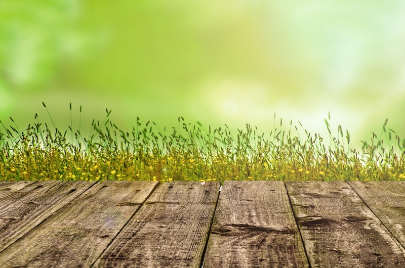 1080P, circle, boardwalk, day, sunlight, horizon, tranquility, crop, park, spring, lawn, horizontal, cereal plant, focus, summer, table, landscape