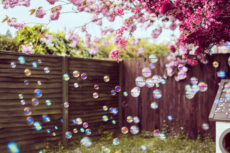 flowers, beauty in nature, springtime, pink color, built structure, no people, outdoors, vulnerability, fragility, trees, tree, flowering plant, flower