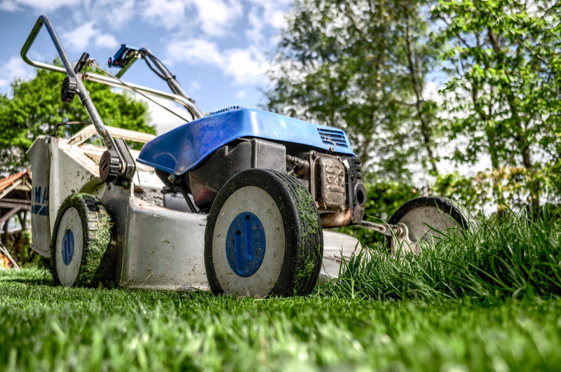 grass, 4K, angle, summer, yard, transportation, no people, plant, blue, green color, nature, lawn-mower, backyard, mode of transportation, sport, racecar