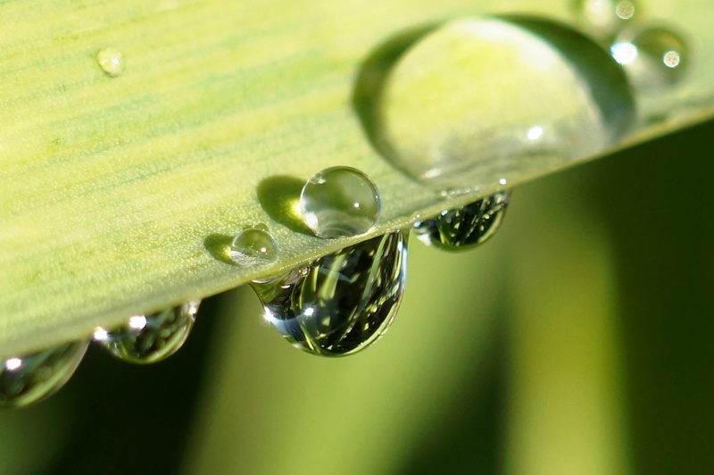 leaf, lens, backgrounds, photo, green, drop, dew, springtime, drip  drop, close-up, waterdrop, green leaf, green Color, nature, rain, summer, liquid, macro
