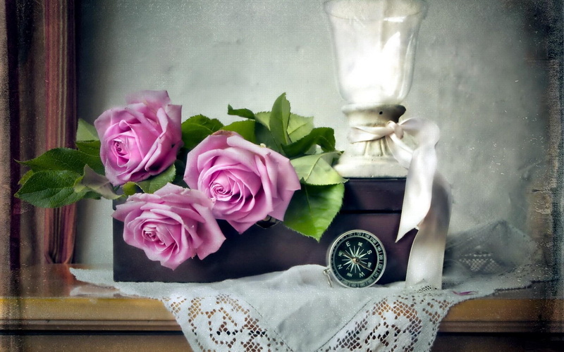 delicate, tenderness, three, petals, rose, beau, buds, lovely, 1080P, nature, blossoms, beautiful, blooms, flowers