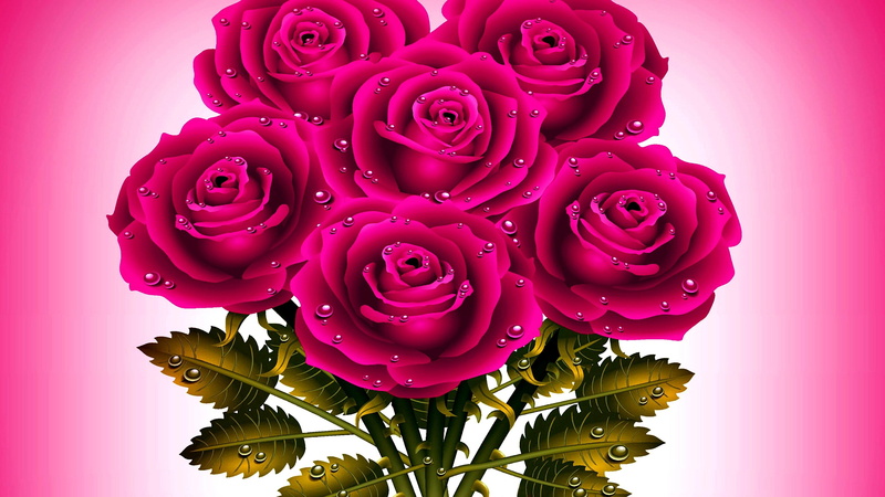 artistic, artwork, illustration, garden roses, drops, rose, bouquet, waterdrop, pink roses, cut flowers, flower bouquet, 4K, floral design, flower