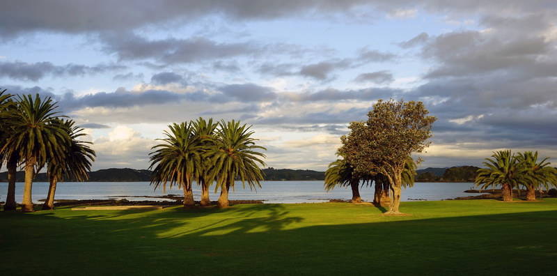 5K, nature, sky, green color, scenics, cloud - sky, tree, near, tranquil scene, tropical climate, north island, growth, outdoors, no people, sea, environment