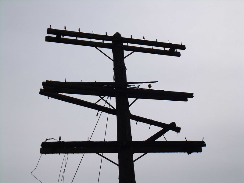 sky, protection, forgotten, now, clear sky, telecommunications, no people, day, technology, obsolete, prominent, nature, silhouette, low angle view, long