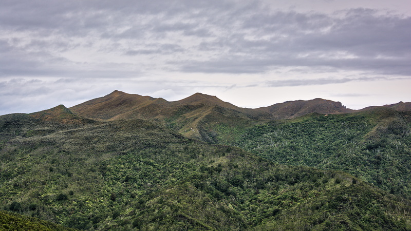landscape, bush, tranquil scene, new zealand, rosella ridge, cloud - sky, silver peaks, pulpit rock, mountain peak, mountains, outdoors, green hill, possum ridge