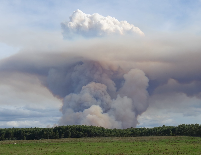bushfire, atmosphere, smoke - physical structure, environment, air, burnoff, fire, power in nature, burning, 1080P, nature, landscape, cloud - sky, land