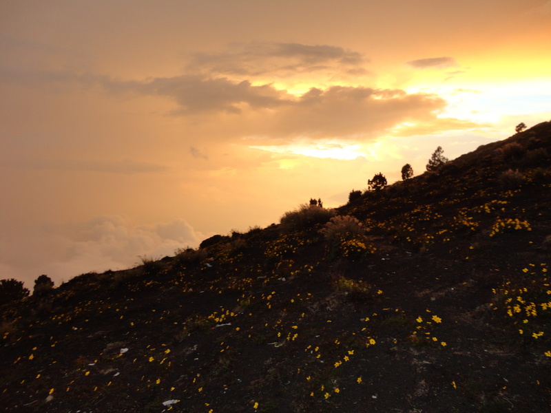 sky, dramatic sky, sunset, 4K, no people, guatemala acatenango, acatenango view, orange color, idyllic, scenics - nature, nature, plant, View