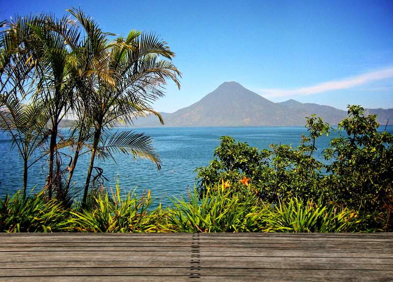 tree, beauty in nature, tropical climate, garden, view, near, 4K, sea, water, guatemala, blue, scenics - nature, plant, sky, flower, growth, lake atitlan
