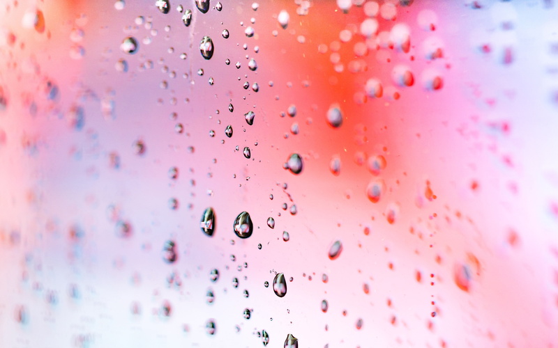 8k, macro, 4k, Droplets, rain, HD, wallappers, abstract, 4K