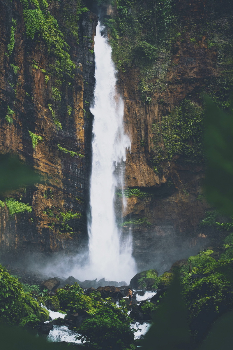 flowing water, scenery, power, landscape, blurred motion, beauty in nature, waterfalls, power in nature, day, nature, scenics - nature, jungle, forest