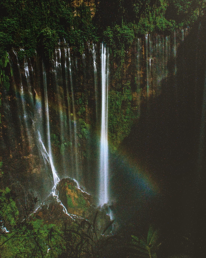 waterfall, tree, river, blurred motion, plant, lumajang, scenics - nature, tranquil scene, green, rainforest, adventure, rainbow, motion, forest, growth