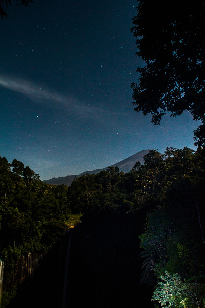 non-urban scene, star field, space and astronomy, forest, space, nature, mountain, stars, night, lumajang, 5K, waterfall, astronomy, outdoors, no people