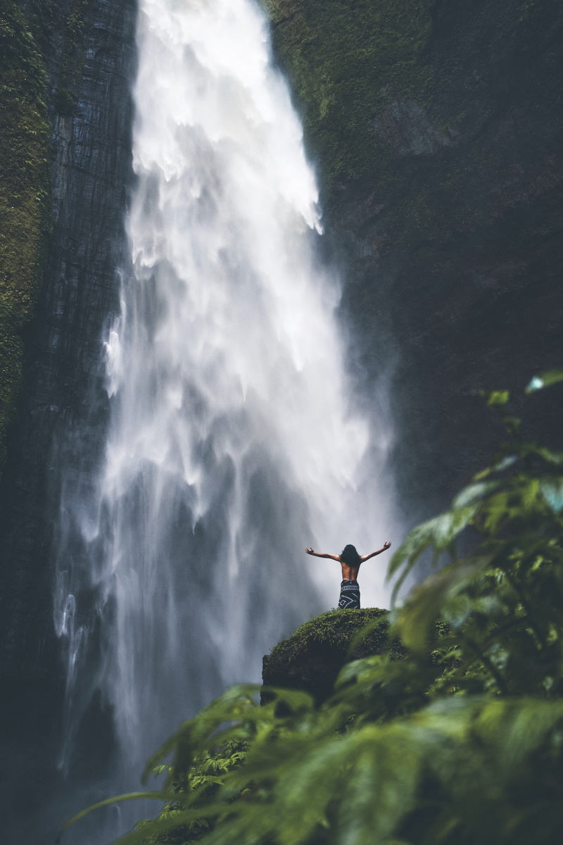 potted plant, beauty in nature, vegetation, standing, person, power, human arm, flowing, one person, flowing water, real people, river, animal, indonesia