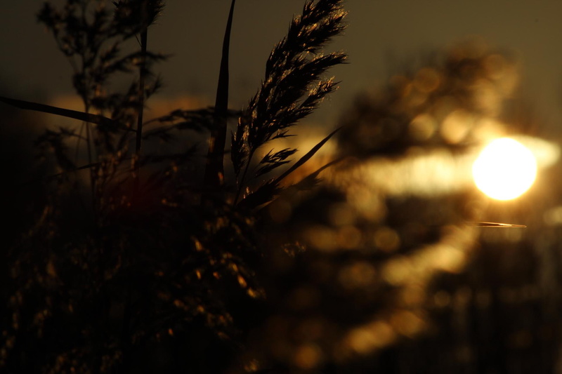 butiful, sunset, nature and landscapes, can, also, dark nature, 1080P, nice, dark, fall