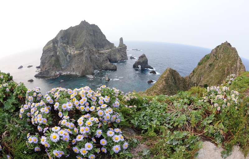 rock - object, dokdo seals, outdoors, sky, flowers, rock formation, gyeongsangbuk-do, sea, 19, Korea, our territory, no people, beauty in nature, bay, tranquil scene