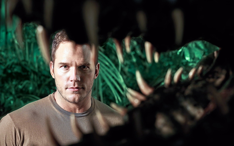 occupation, film, looking at camera, portrait, one person, chris, adult, men, looking, prat, army, government, 4K, plant, mid adult, world, green color