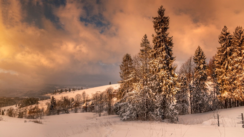 Snow, Clouds, Trees, Winter, Poland, Dusk, 1080P, Zakopane