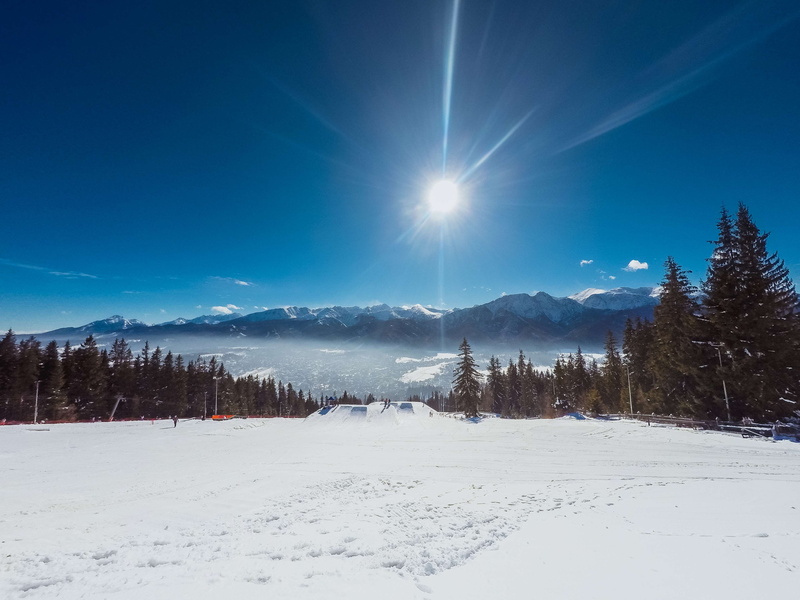 pine tree, snowcapped mountain, snow, mountain range, plant, sun, poland, no people, white color, coniferous tree, mountain, winter, travel, cold temperature