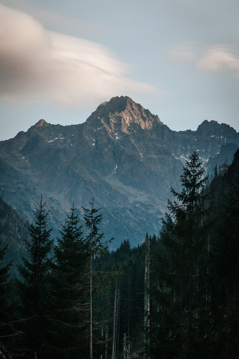 cloudy, pine tree, scenics - nature, mountain range, photography, conifer, mountain, peak, forest, tree, coniferous tree, poland, cloud - sky, land, growth