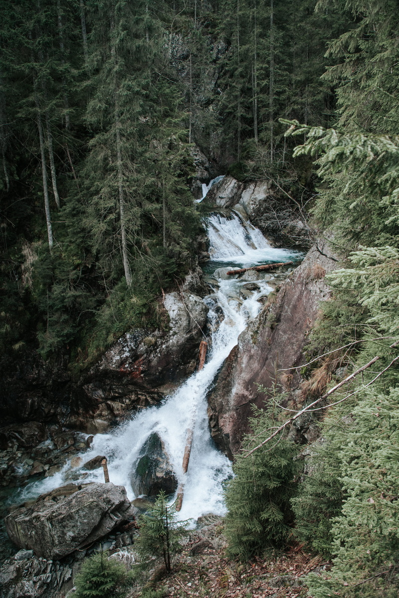 water, forest fire, environment, tree, waterfall, poland, long exposure, greenery, flowing, day, malopolska, landscape green, solid, no people, land, mickiewicza