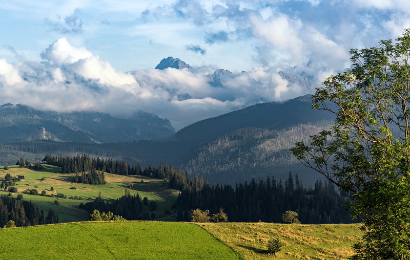 shadow, environment, land, peak, national park, beautiful, coniferous tree, national, tranquil scene, uphill, travel, sun, sunlight, carpathian, scene