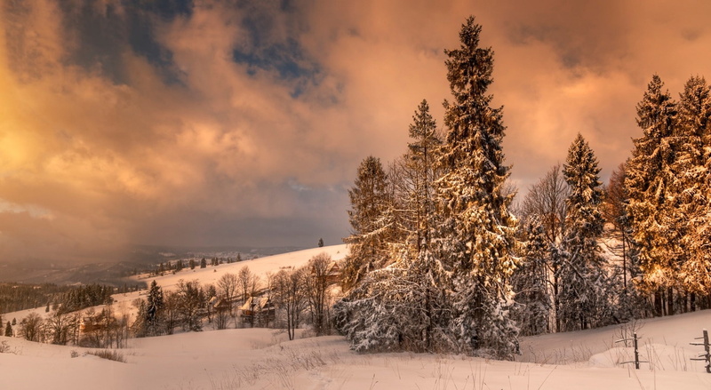 environment, landscape, plant, sky, frozen, tranquility, no people, land, coniferous tree, trees, cloud - sky, green, poland, non-urban scene, leafed, snowcapped mountain