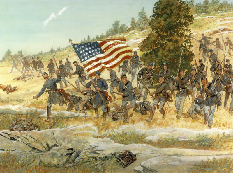 Twentieth Maine, large group of animals, animal wildlife, 5K, Americans, striped, group of animals, the largest, Gettysburg, animals in the wild, no people