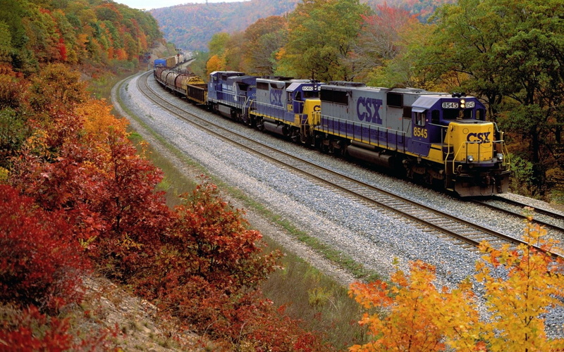 passenger, purple, tree, mode of Transport, freight Transportation, beauty in nature, plant, mode of transportation, red, cargo Container, no people, industry