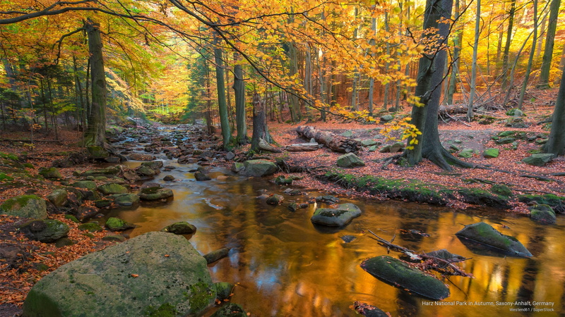 national, Fall, harz, autumn, 2K, anhalt, park, germany, saxony