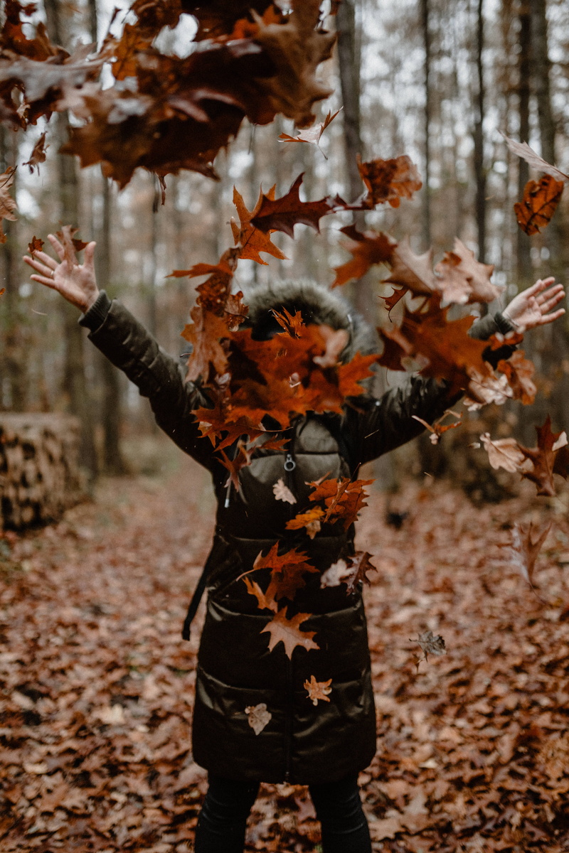 walk, plant, plant part, fall, land, leaves, day, fog, standing, autumn, foggy, weather, tree, beauty in nature, growth, limb, leaf, fragility, change
