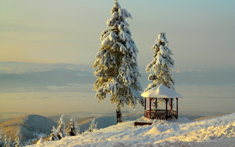 ice, season, brown, nature, blue, arbor, tranquility, scenics - nature, forest, environment, gazebo, idyllic, skiing, covering, woodland, outdoors, non-Urban Scene