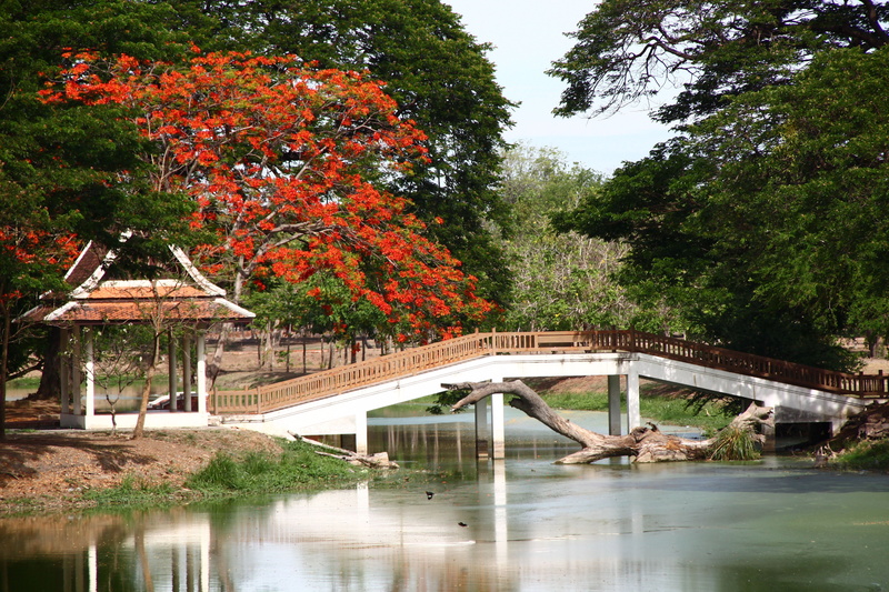 change, old, growth, outdoors, no People, connection, leaf, gazebo, reflection, japan, arbor, tree, plant, nature, brown, architecture, bridge - Man Made Structure