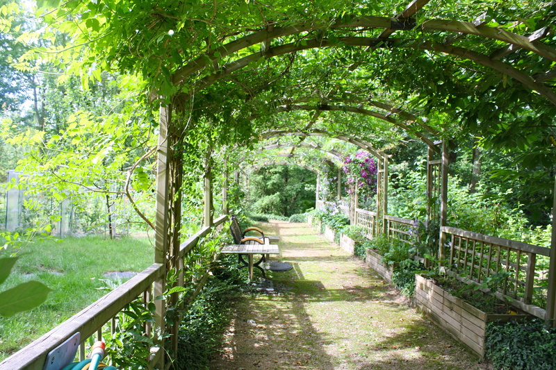 arbor, daytime, green Color, plant, woodland, bridge - Man Made Structure, park, garden walk, outdoors, day, garden, growth, railing, the way forward, person