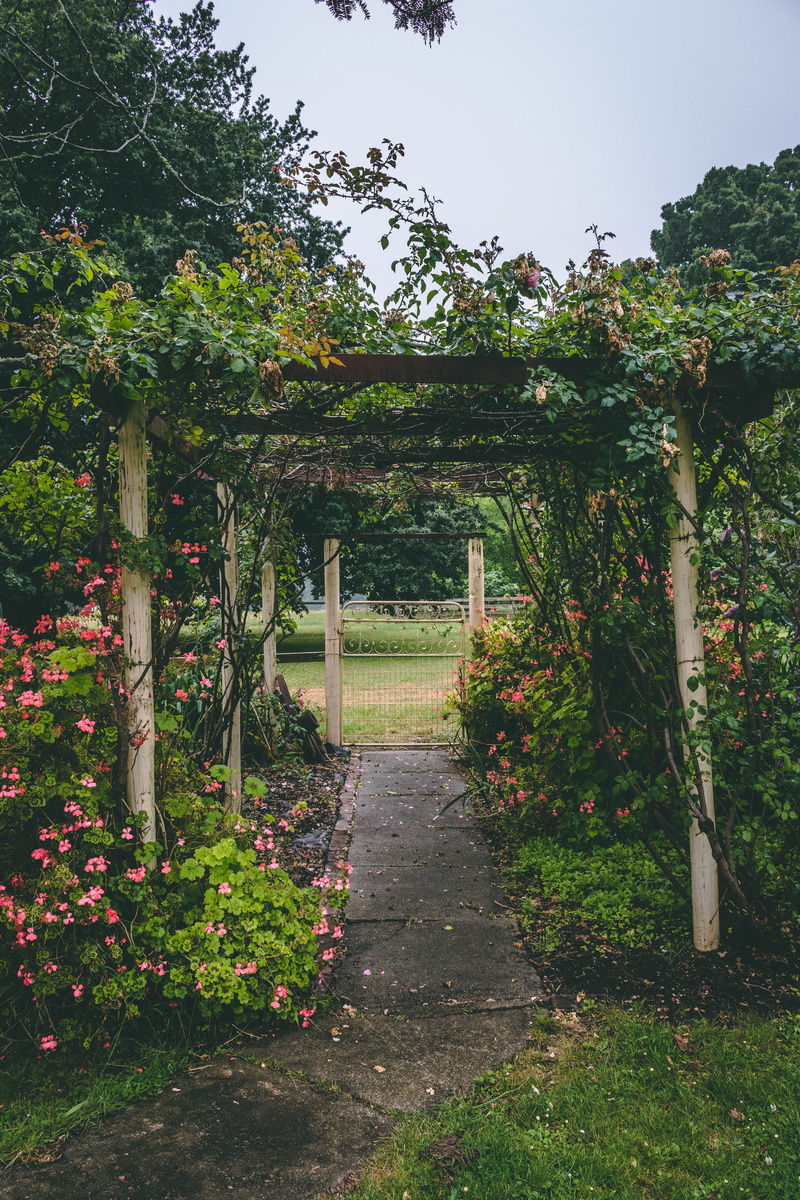 road, garden path, no people, tree, park, green, australia, patio, the way forward, plant, day, brown, flower, path, arbour, flora, arch, arbor, beauty in nature
