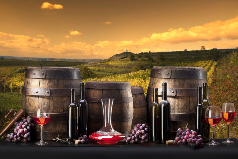 barrels, grapes, 4K, bottle, wine, the vineyards