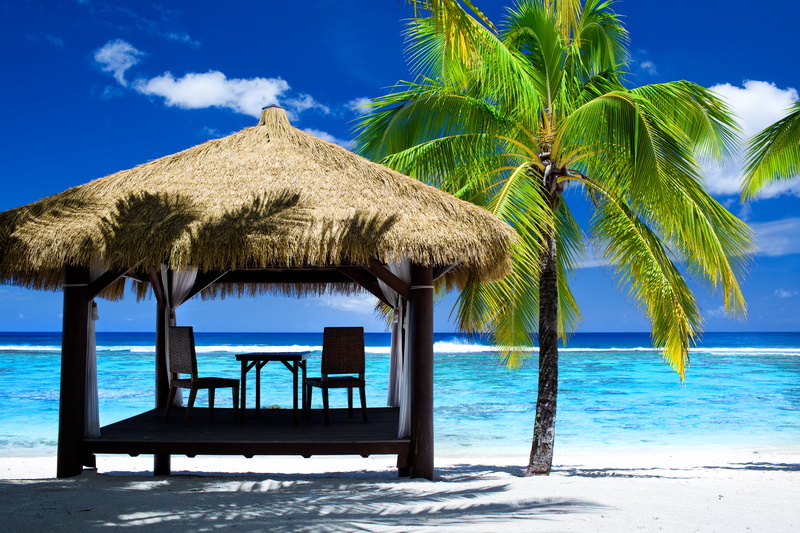 roof, water, sea, horizon over water, 5K, tree, palm tree, Palma, land, no people, thatched roof, cabin, beauty in nature, nature, summer, day, tranquil scene