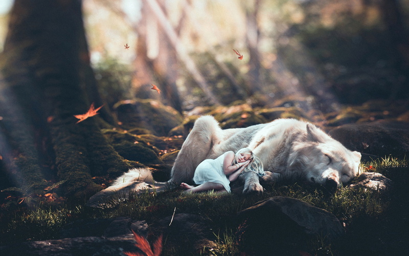 wolf, blonde, women, nature, animals, depth of field, photo manipulation, forest, 1080P