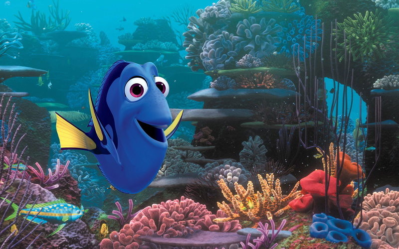 reef, 2K, swimming, marine, k, fish, no people, underwater, animal wildlife, beauty in nature, plant, sea life, group of animals, animals in the wild