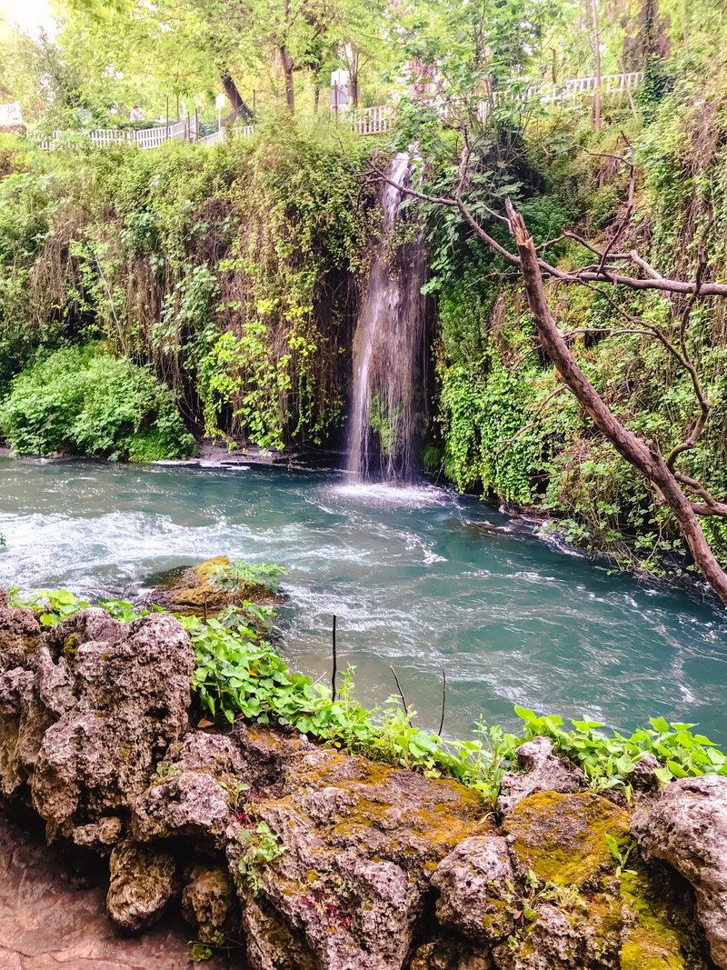 day, falling water, tree, long exposure, growth, vibes, summer, rainforest, waterfall, land, outdoors, beautiful destinations, flowing, lara, earth pix