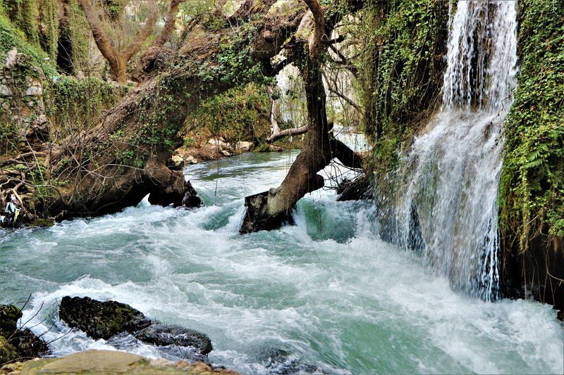 move, sporty, nature, duden, outdoors, camp, sports, river, forest, environment, plant, no people, autumn, antalya, non-urban scene, water, rock, tent