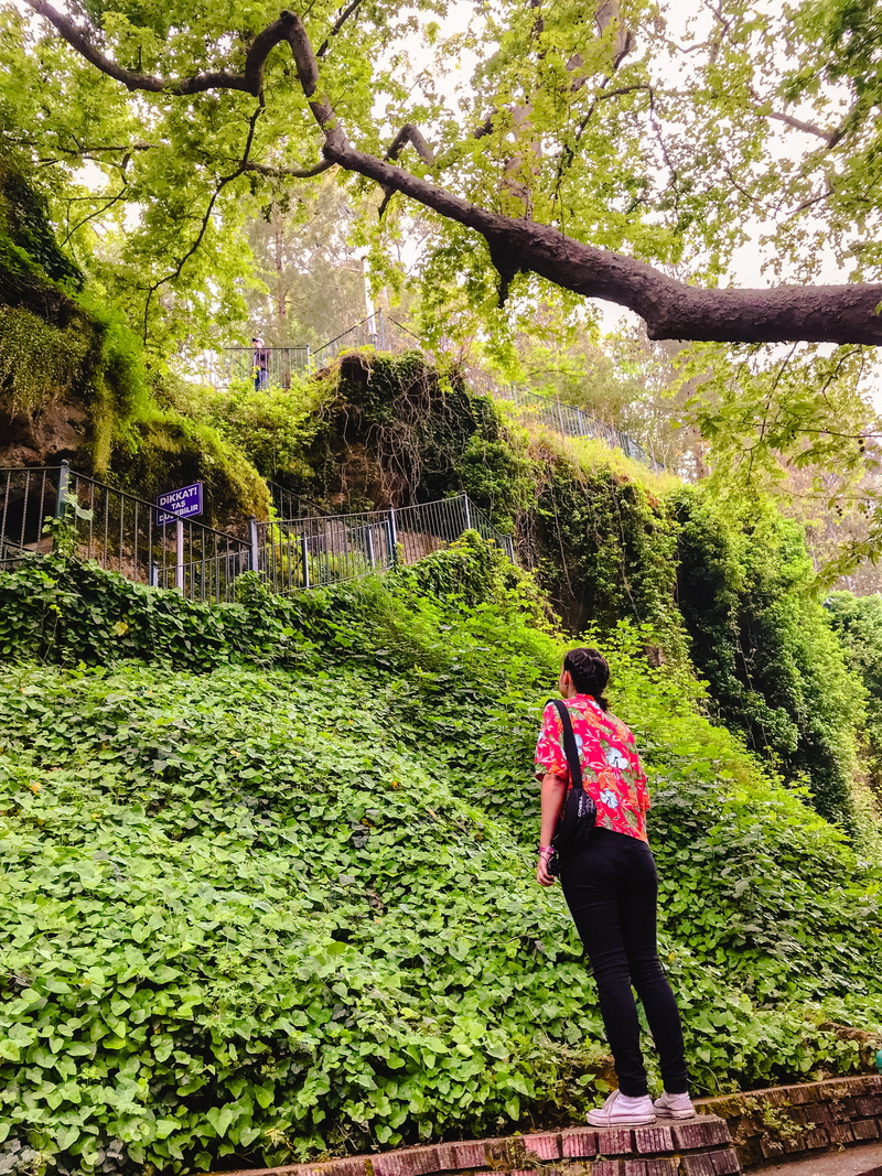 human, person, adult, vase, growth, tree, nature, 4K, duden waterfalls, shoe, lifestyles, plant, footwear, clothing, rear view, day, casual clothing, walking