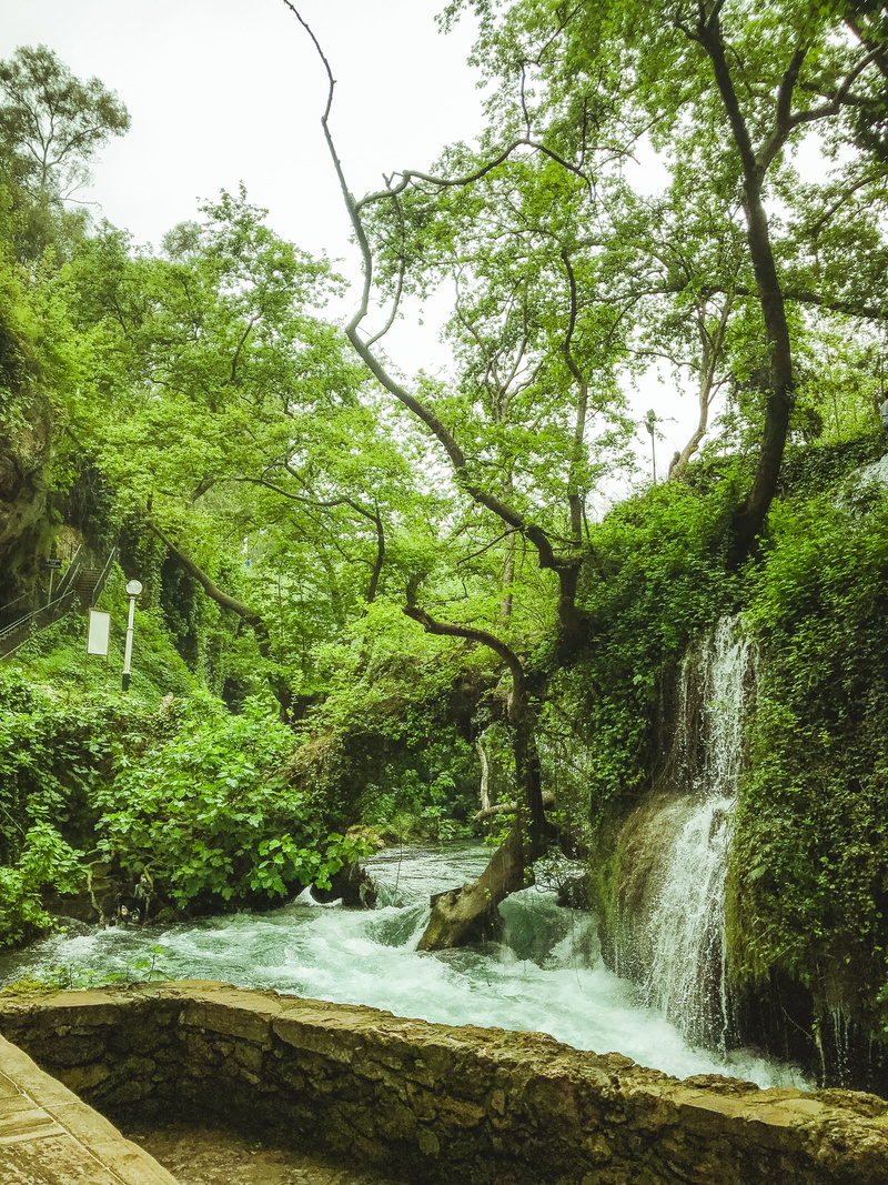 forest, land, motion, no people, plant, long exposure, tree, beautiful destinations, vegetation, flowing water, environment, growth, tranquility, green color