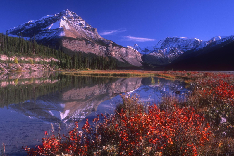 reflection, 3d and abstract, lake, 1080P, majestic, mountain, trees