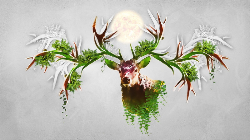 Animal, abstract, antlers, deer, 1080P
