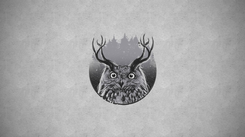 photo, antlers, 2K, illustration, 2560x1440, artistic, antler, greyscale, owl, bird