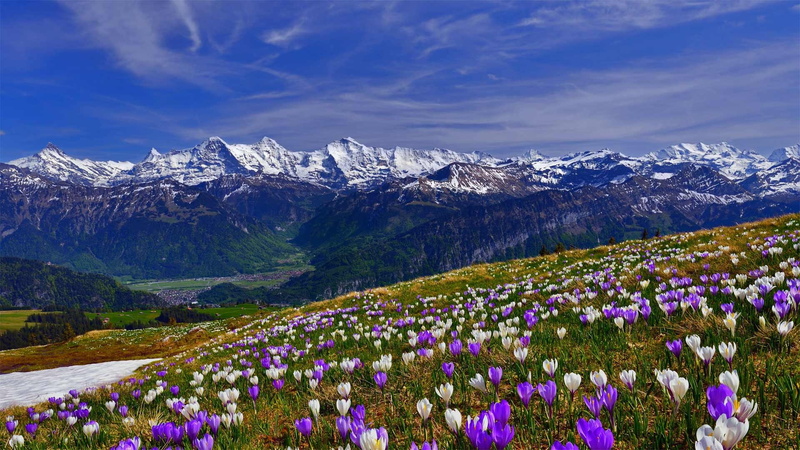 photography, Bing, 1080P, nature