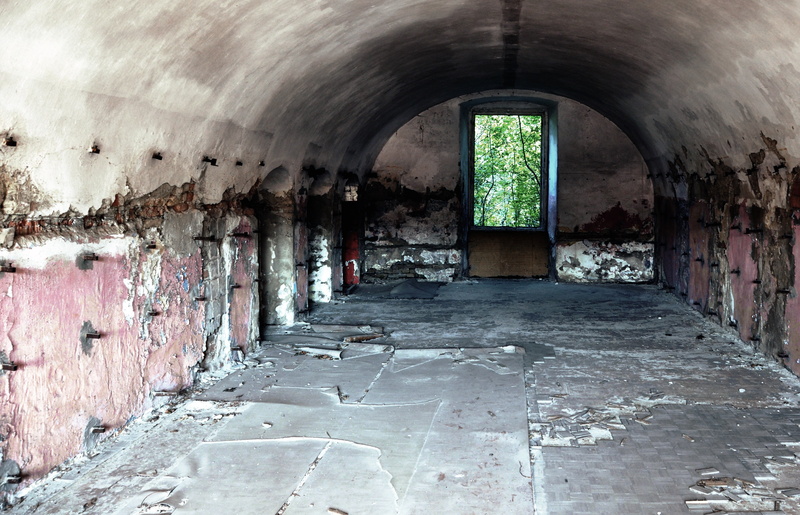 no people, tunnel, building, room, monastery, weathered, old, ruin, history, 2K, empty, trees, direction, the way forward, wall, ceiling, built structure